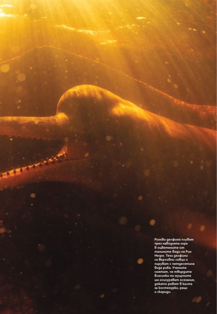 National Geographic България Октомври/2024