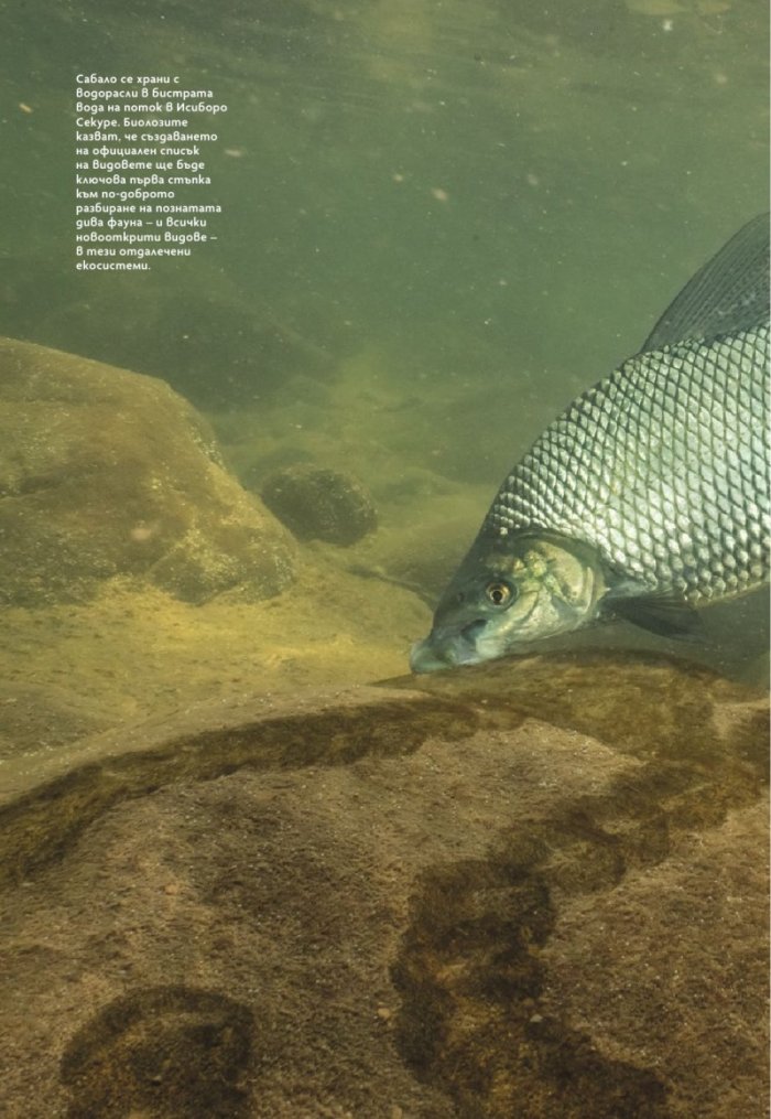 National Geographic България Октомври/2024