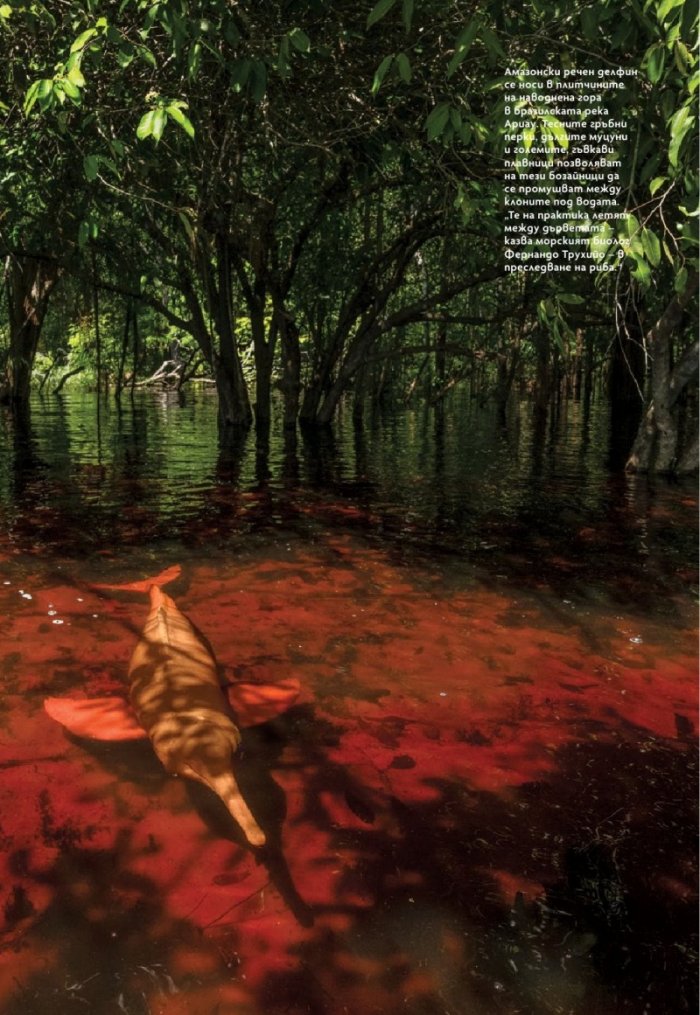 National Geographic България Октомври/2024