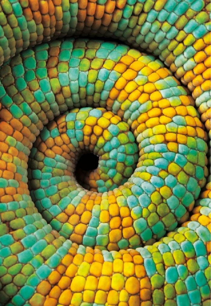 National Geographic България Декември/2021
