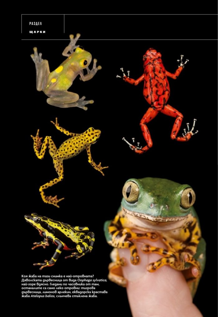 National Geographic България Декември/2021