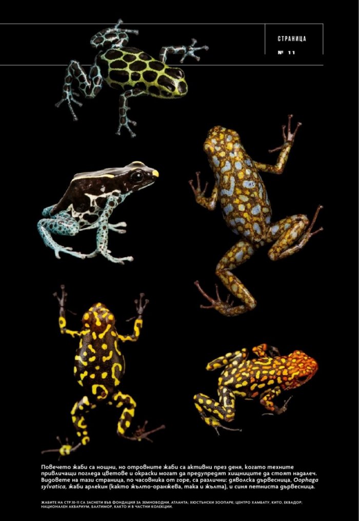 National Geographic България Декември/2021