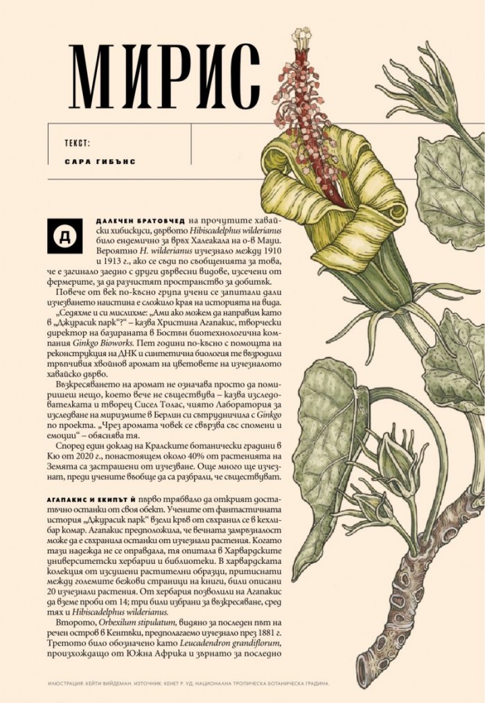 National Geographic България Декември/2021
