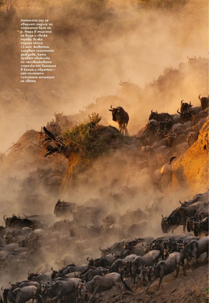 National Geographic България Декември/2021