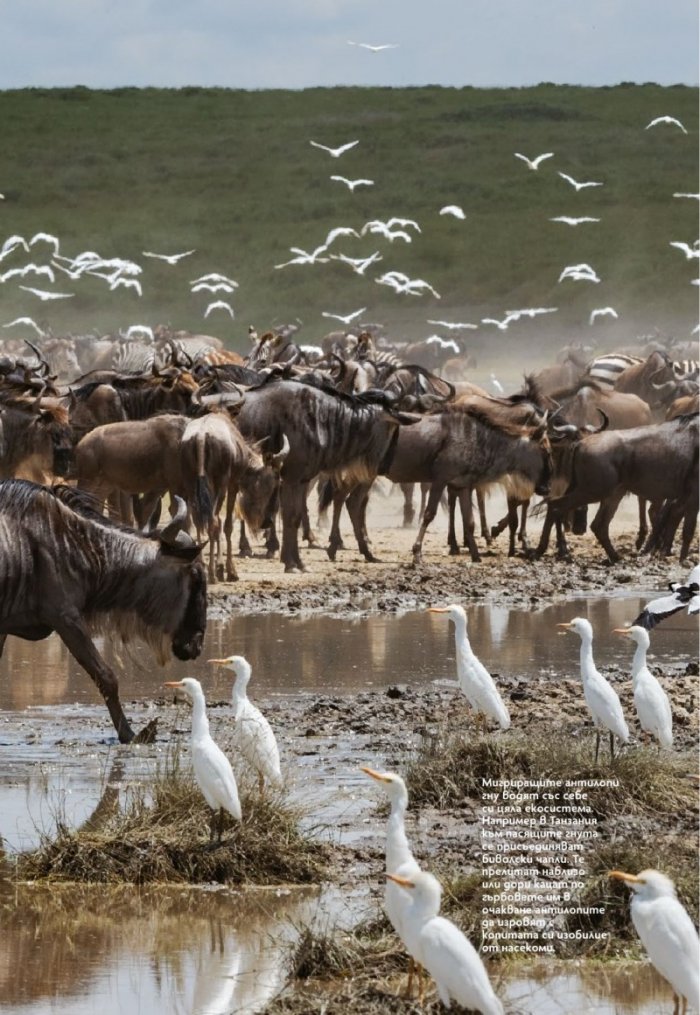 National Geographic България Декември/2021