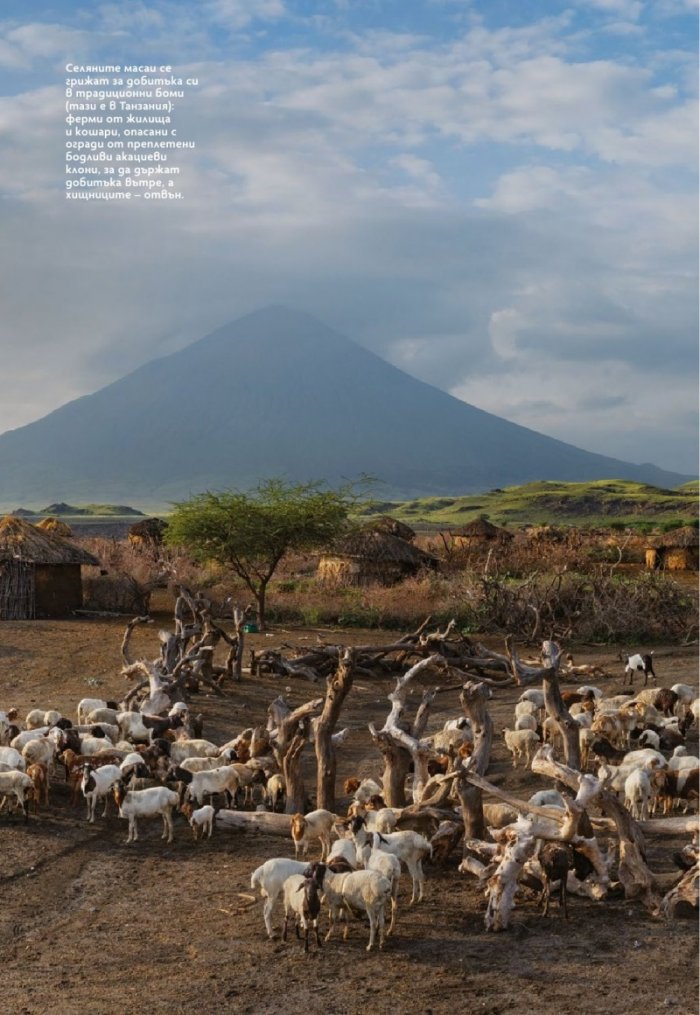 National Geographic България Декември/2021