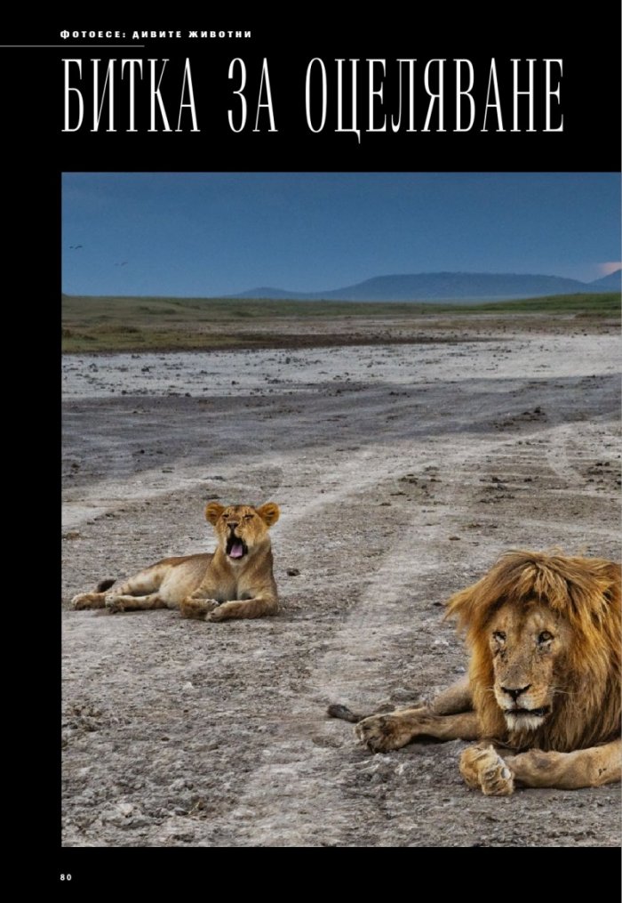 National Geographic България Декември/2021