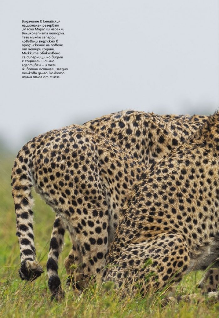 National Geographic България Декември/2021