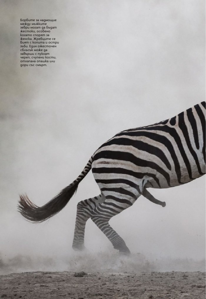 National Geographic България Декември/2021