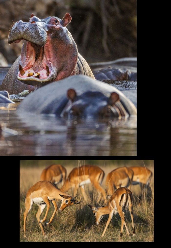 National Geographic България Декември/2021