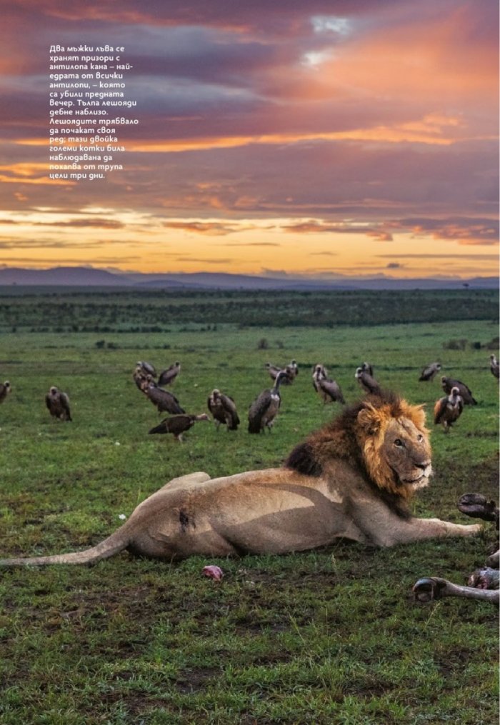 National Geographic България Декември/2021