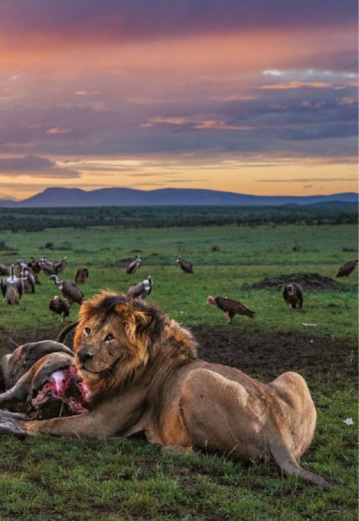 National Geographic България Декември/2021