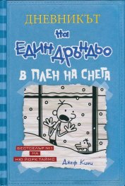 Дневникът на един Дръндьо Кн.6: В плен на снега (твърда корица)
