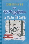 Дневникът на един Дръндьо Кн.6: В плен на снега (твърда корица)