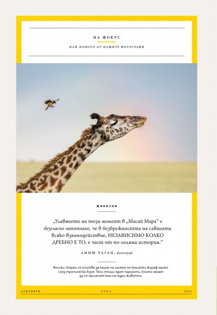 National Geographic България Декември/2024