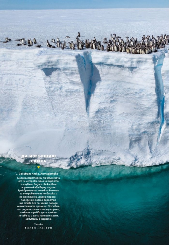 National Geographic България Декември/2024