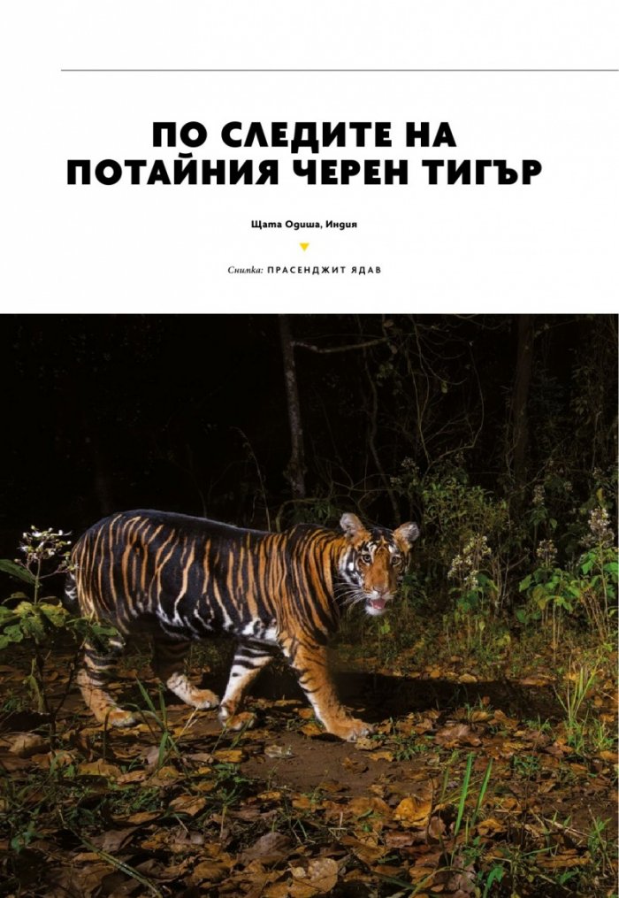 National Geographic България Декември/2024