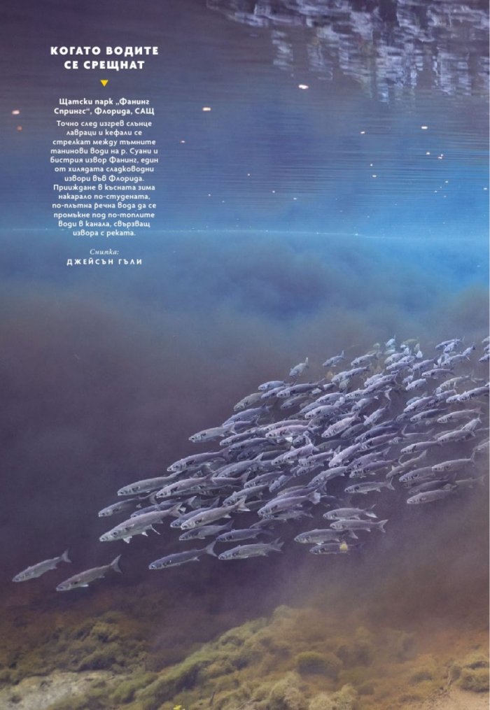 National Geographic България Декември/2024