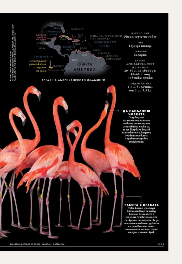 National Geographic България Декември/2024