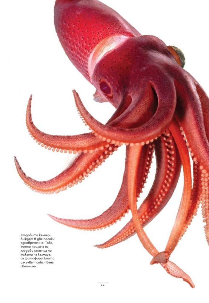 National Geographic България Декември/2024