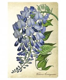 Бележник Paperblanks Blooming Wisteria, Mini, Unlined/ 5763