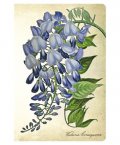 Бележник Paperblanks Blooming Wisteria, Mini, Unlined/ 5763