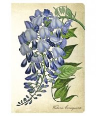 Бележник Paperblanks Blooming Wisteria, Mini, Unlined/ 5763