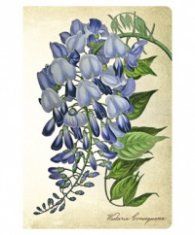Бележник Paperblanks Blooming Wisteria, Mini, Unlined/ 5763