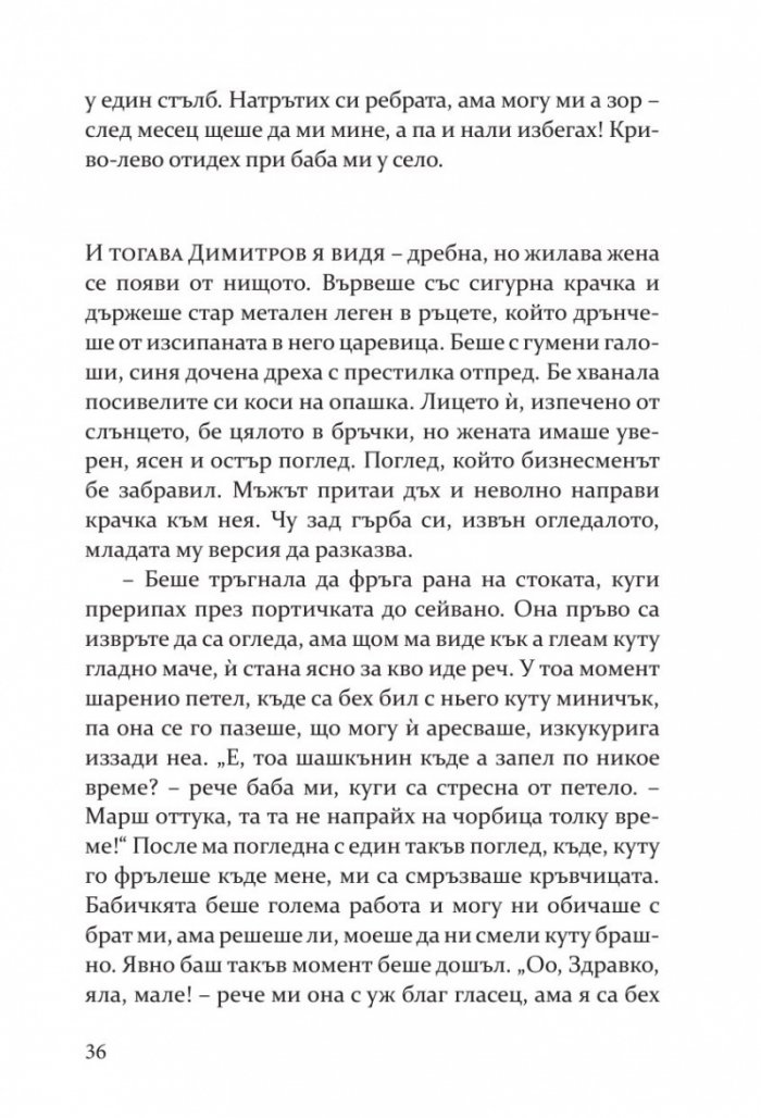 Живак. Романът