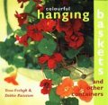 Colourful Hanging Baskets and Other Countainers