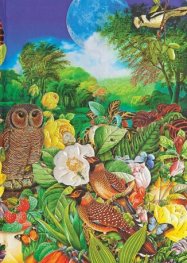 Бележник Paperblanks MOON GARDEN Nature Montages, Midi, Lined/4528