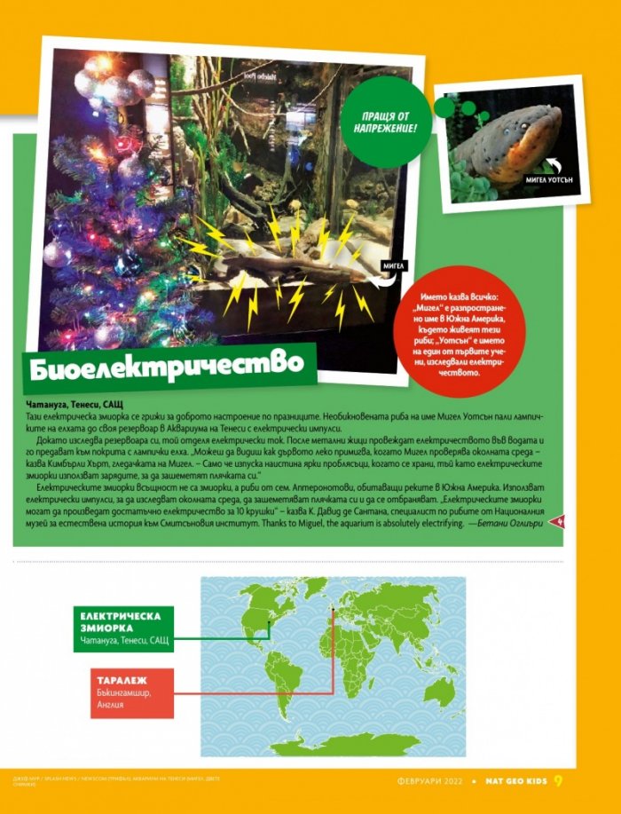 National Geographic KIDS България Февруари/2022