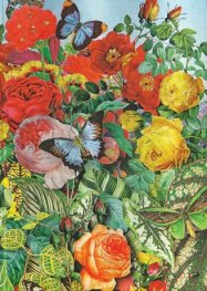 Бележник  BUTTERFLY GARDEN Nature Montages, Midi, Lined/4498