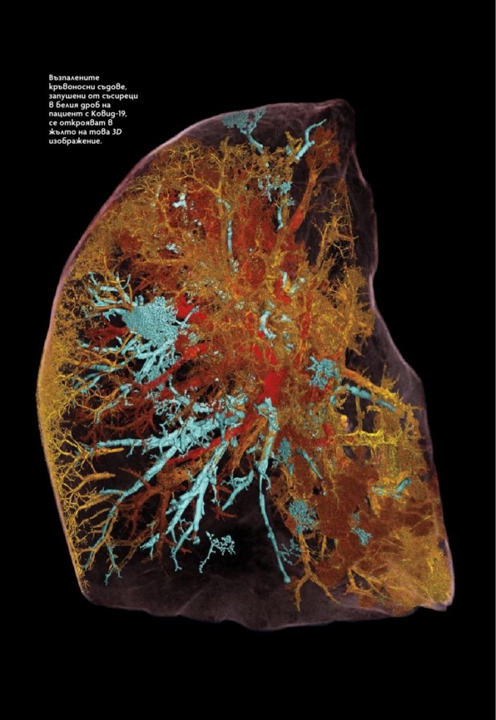 National Geographic България Януари/2025