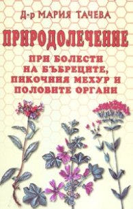 Природолечение при болести на бъбреците, пикочния мехур и половите органи