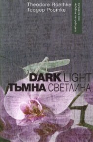 Тъмна светлина