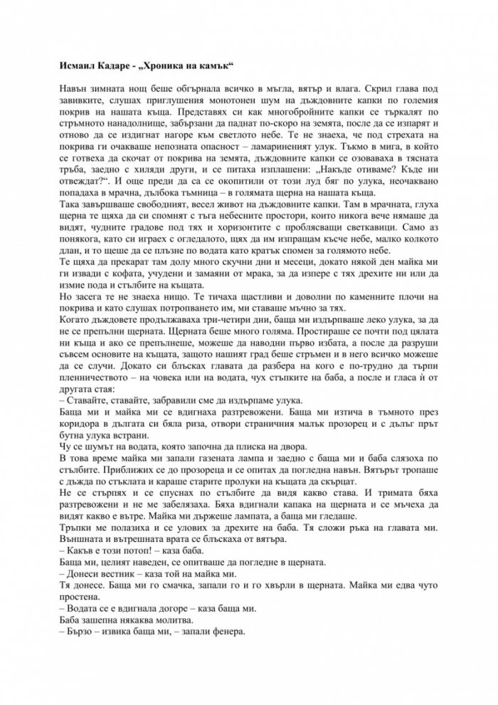 Хроника на камък