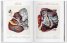 Atlas of Human Anatomy and Surgery: The Complete Coloured Plates of 1831 - 1854