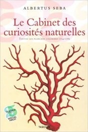 Cabinet of Natural Curiosities