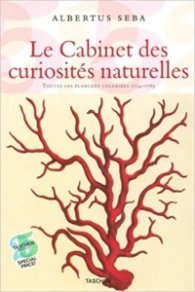 Cabinet of Natural Curiosities