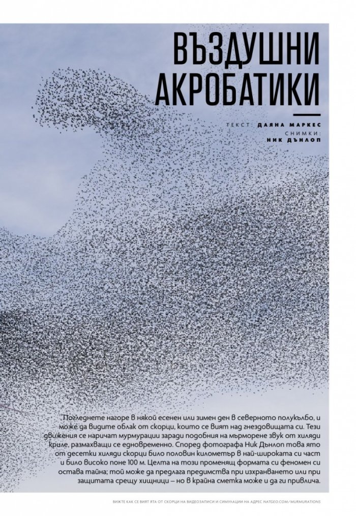 National Geographic България Март/2022