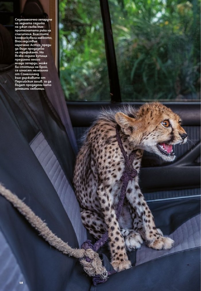 National Geographic България Март/2022