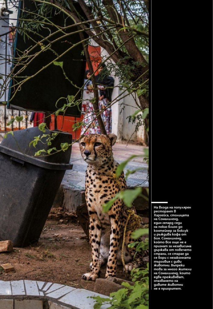 National Geographic България Март/2022