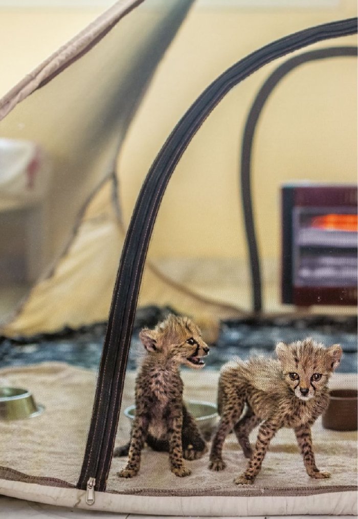 National Geographic България Март/2022
