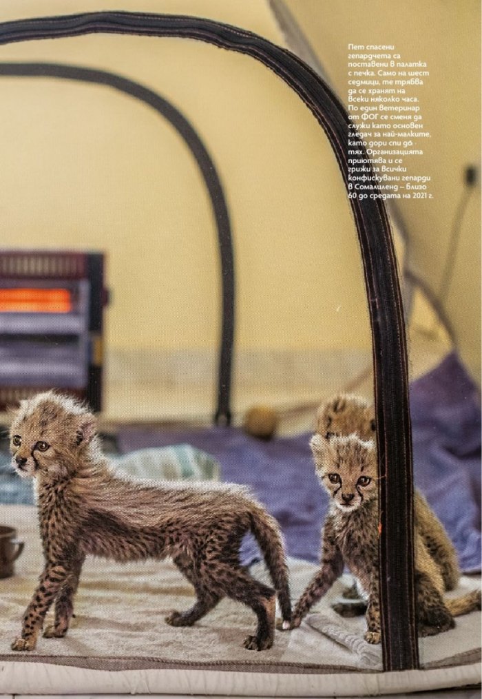 National Geographic България Март/2022