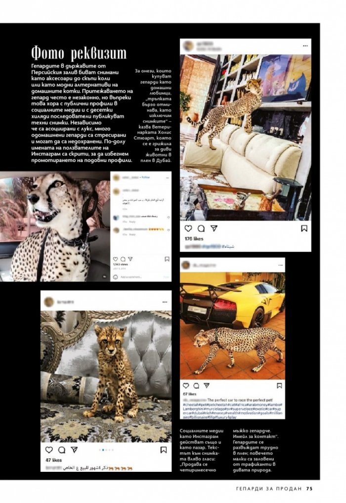 National Geographic България Март/2022