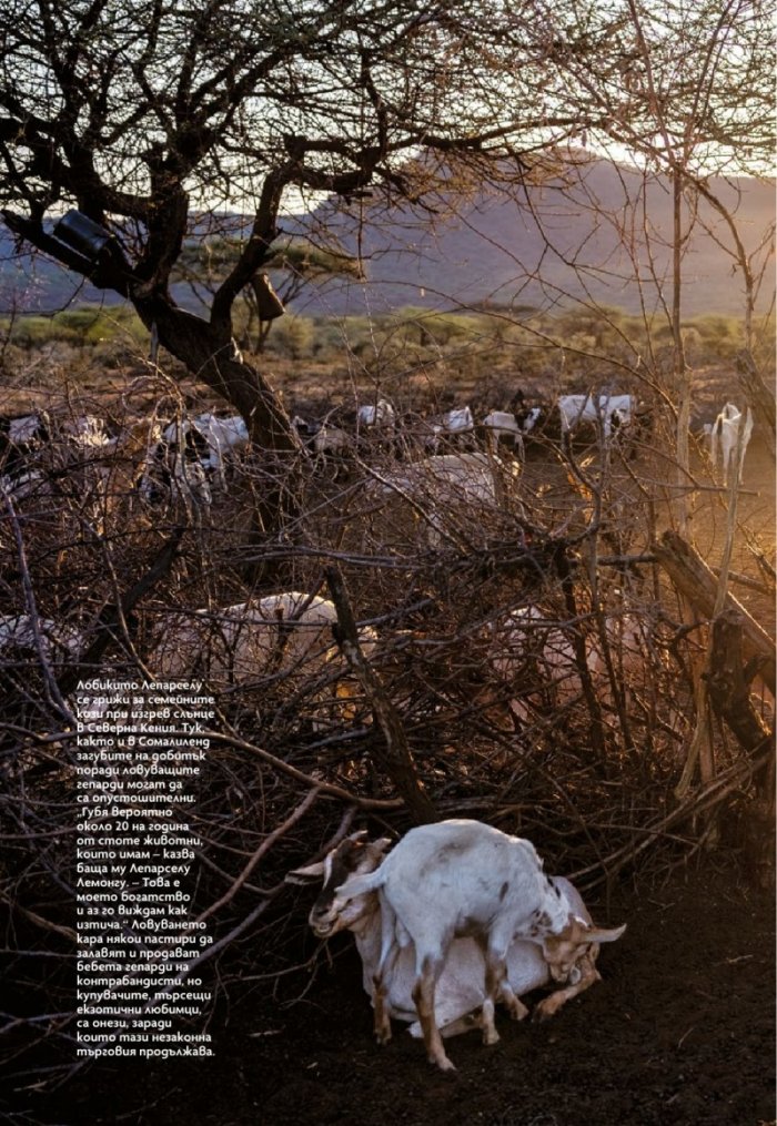 National Geographic България Март/2022