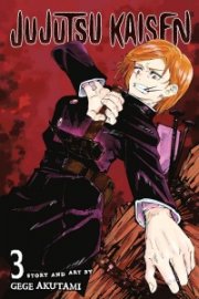 Jujutsu Kaisen Vol. 3