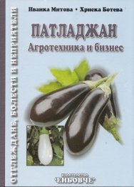 Патладжан. Агротехника и бизнес