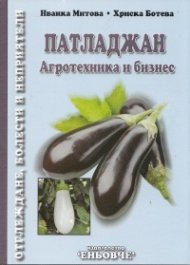 Патладжан. Агротехника и бизнес